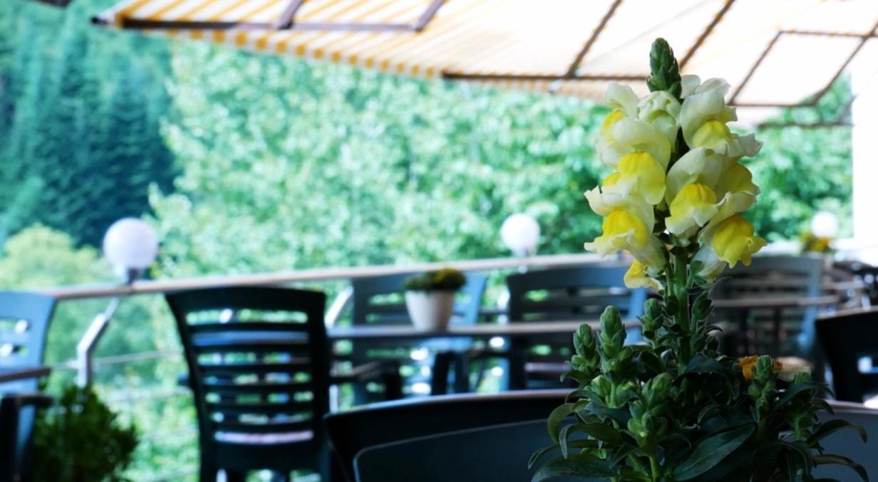 Hotel Cafe Waldeck Wuestenrot Екстер'єр фото
